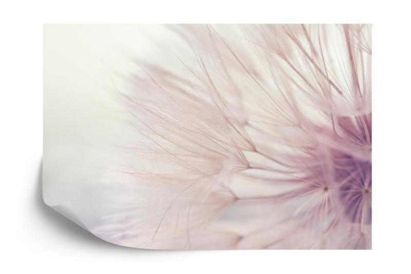 Fototapet med Mælkebøttefrø Design