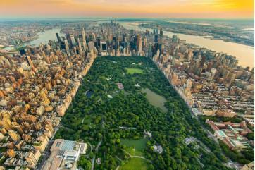 Fototapet - Central Park i New York