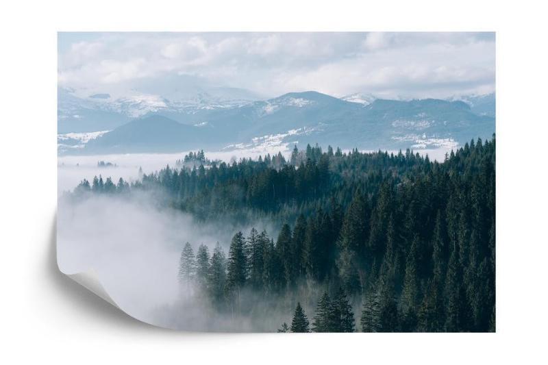 Fototapet - Tåget skovlandskab