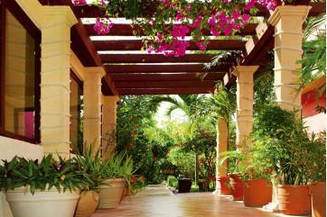 Fototapet - Terrasse Design
