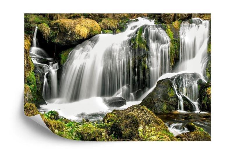 Fototapet - Skovens smukke vandfald
