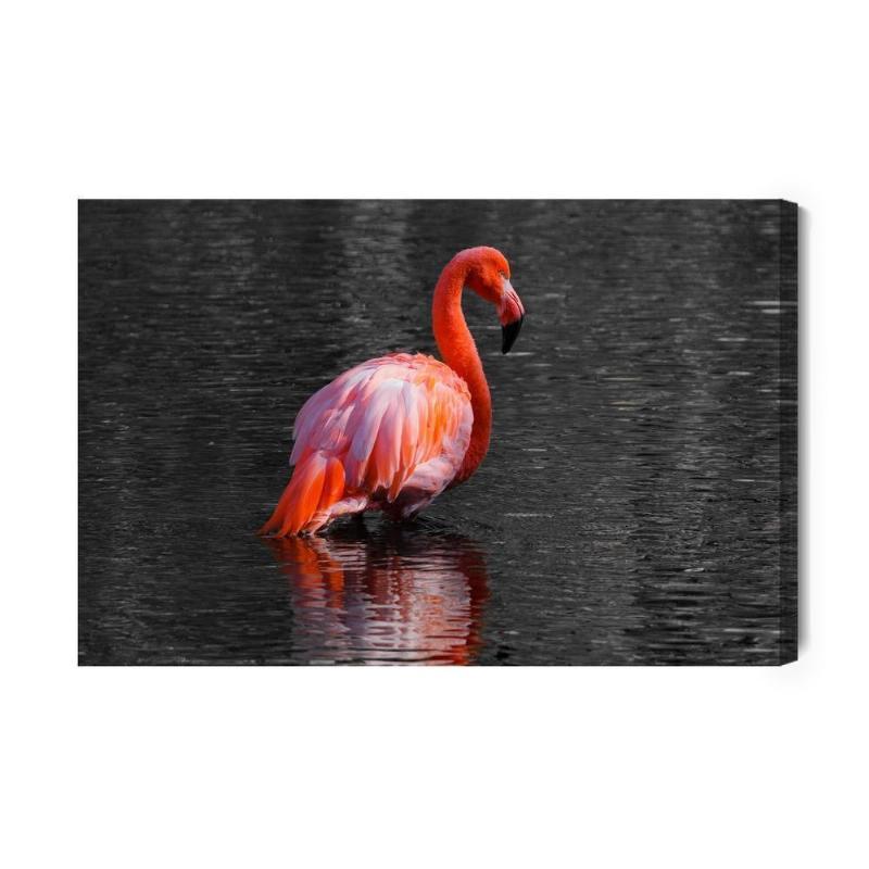 Lærred med flamingoer i vandet
