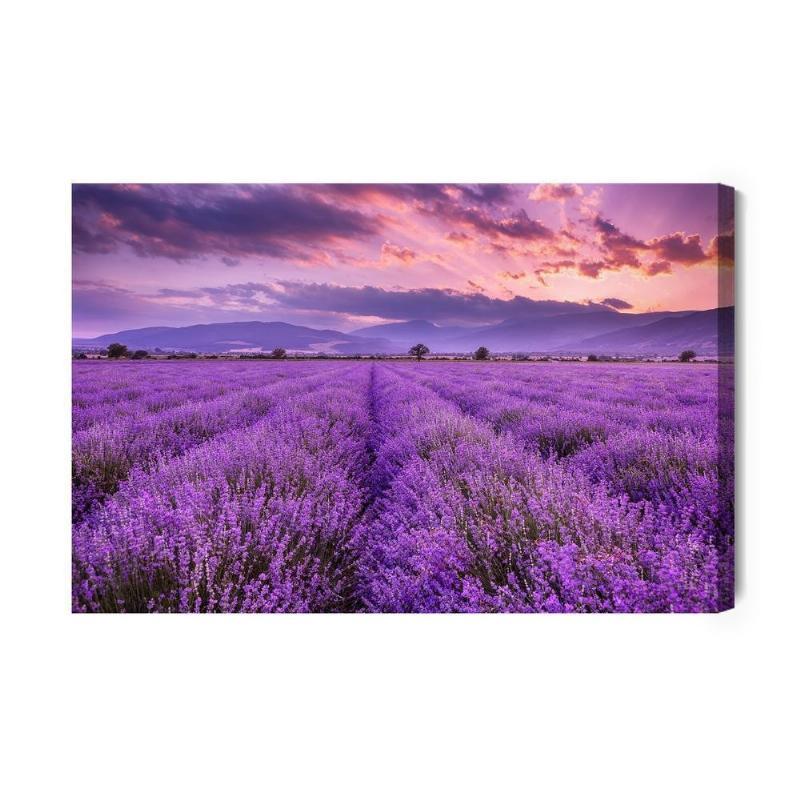 Lavendel Landskab - 3D Lærred Kunsttryk