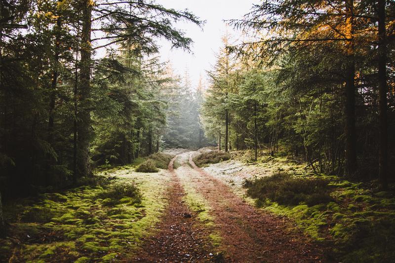Nationalpark Thy af Torben Hedegaard