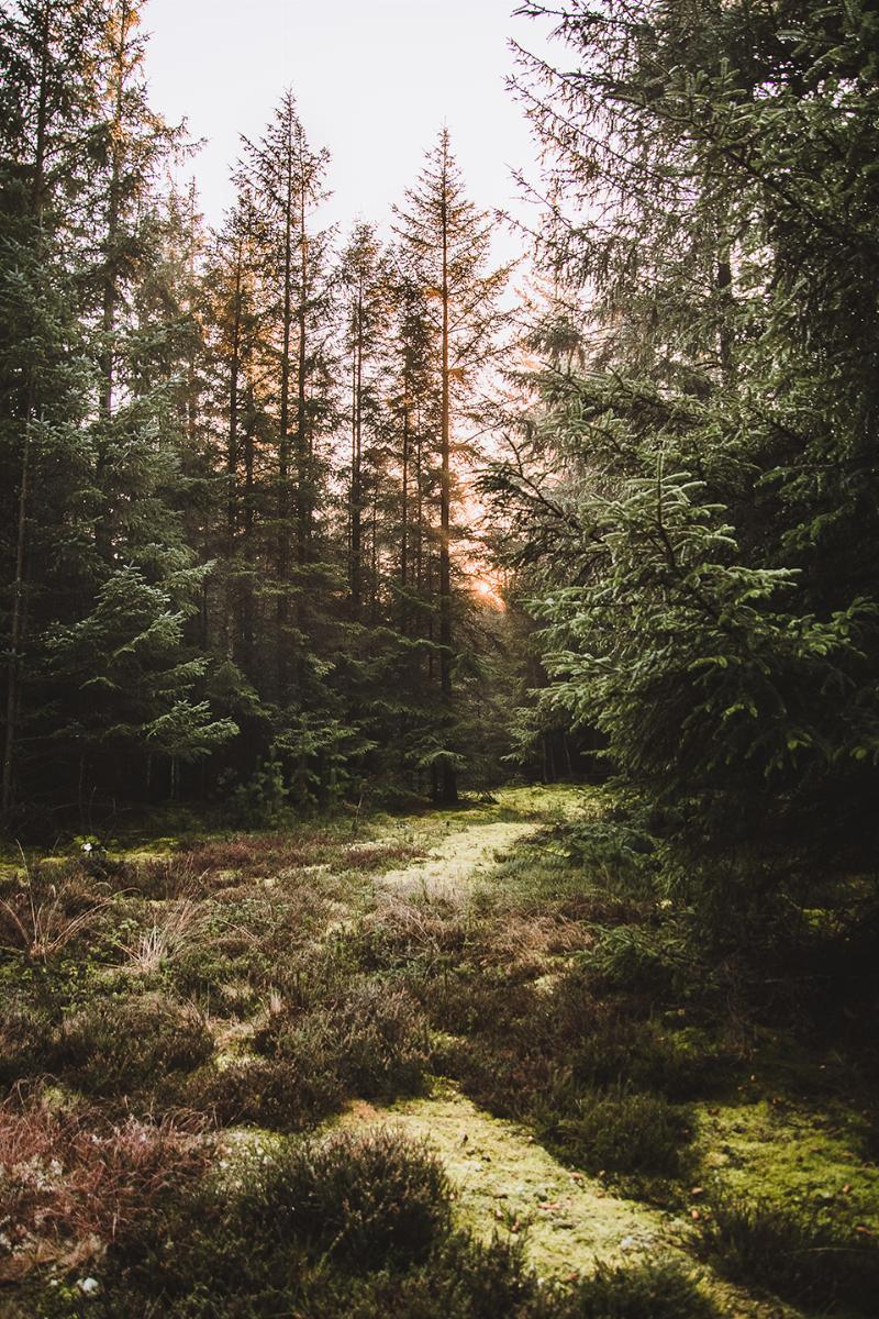 Nationalpark Thy II - Torben Hedegaard