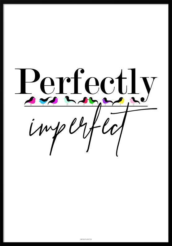 Perfekt uperfekt – Fugle plakat