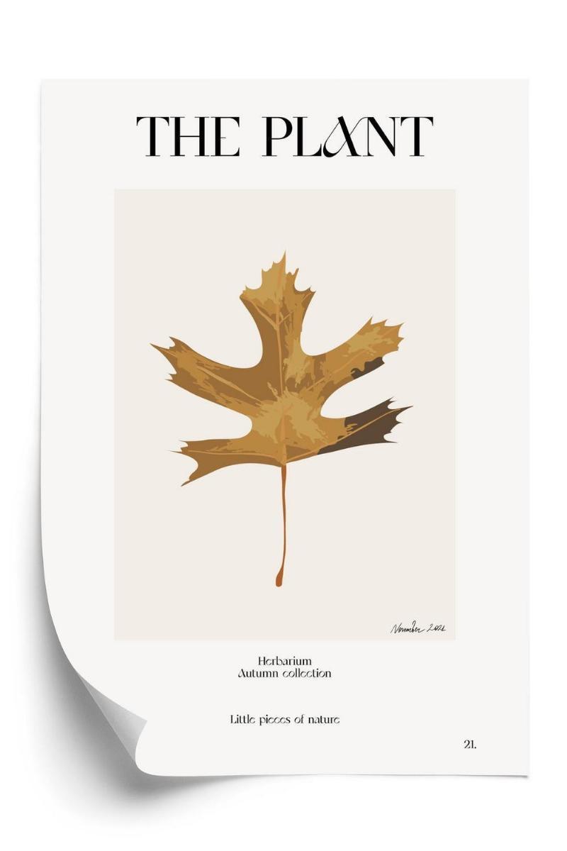Plakat - Efterårsblad fra naturen