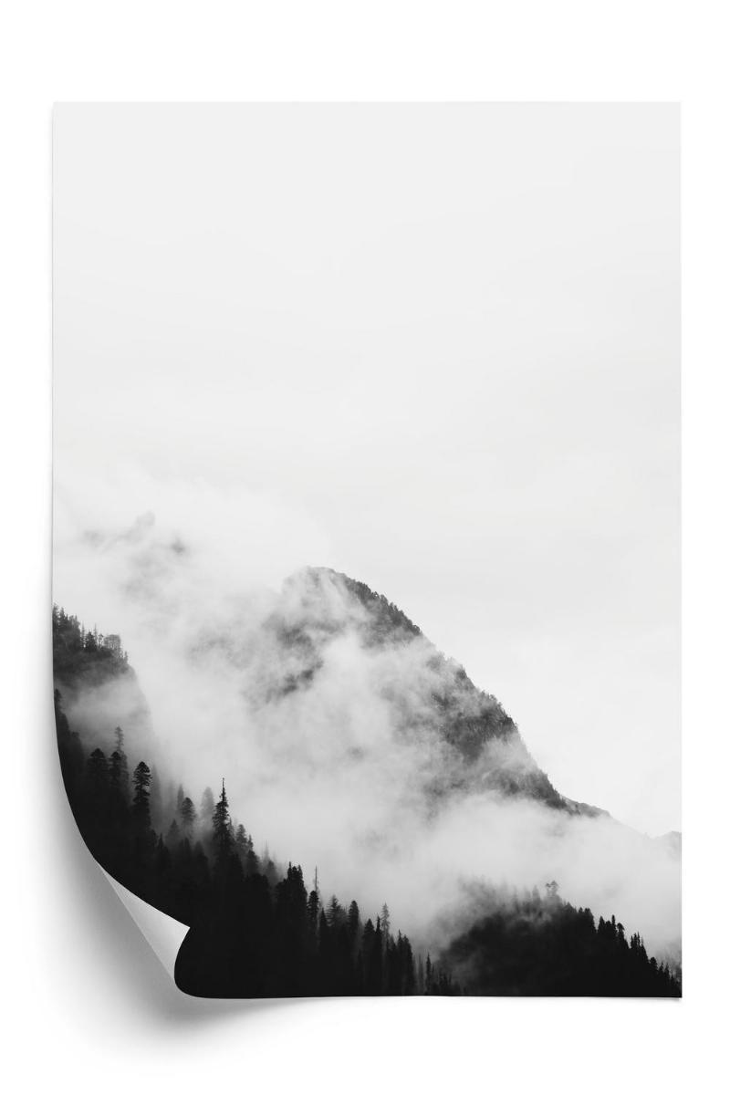 Plakat – Bjergskov i tåge, sort-hvid design