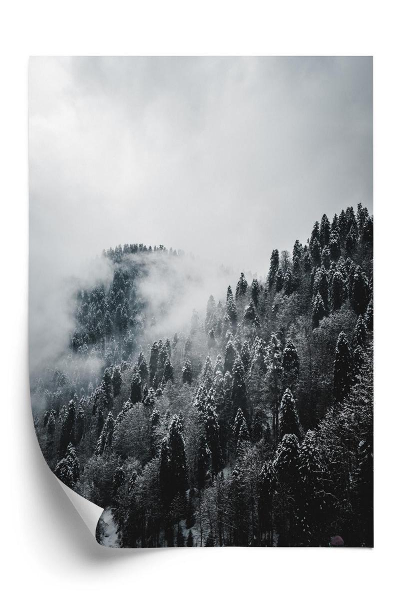 Vinter skovlandskab plakat i tåge