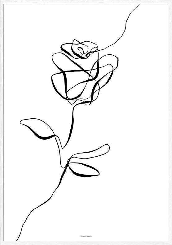 Rosen - minimalistisk linjekunst plakat