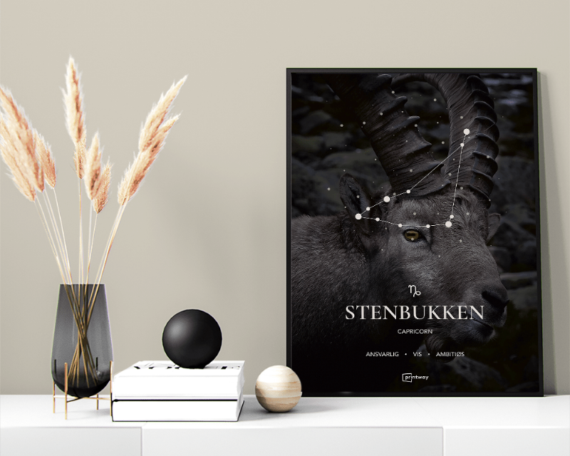 Stenbukken Stjernetegn Plakat 60x84 cm