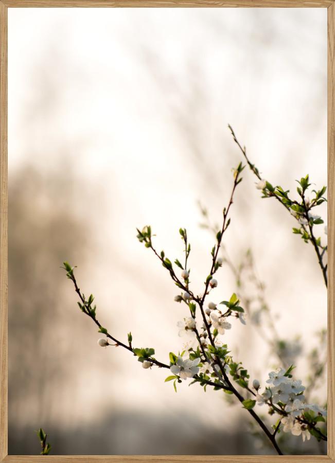Forår – Naturplakat A5 (14,8 x 21 cm)