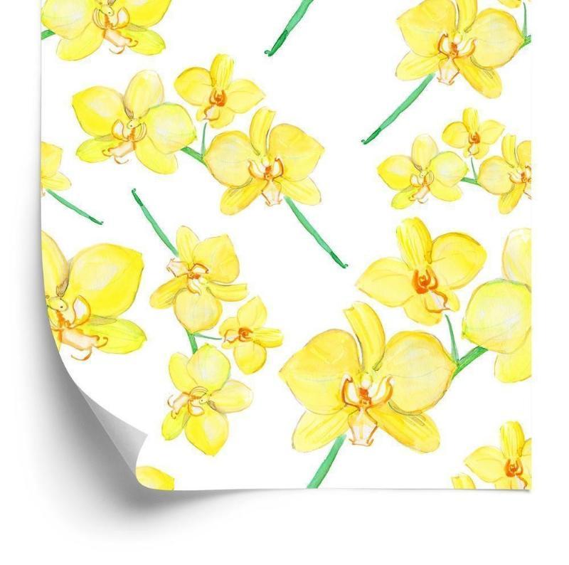 Blomster Tapet til Stuen - Natur & Orkideer