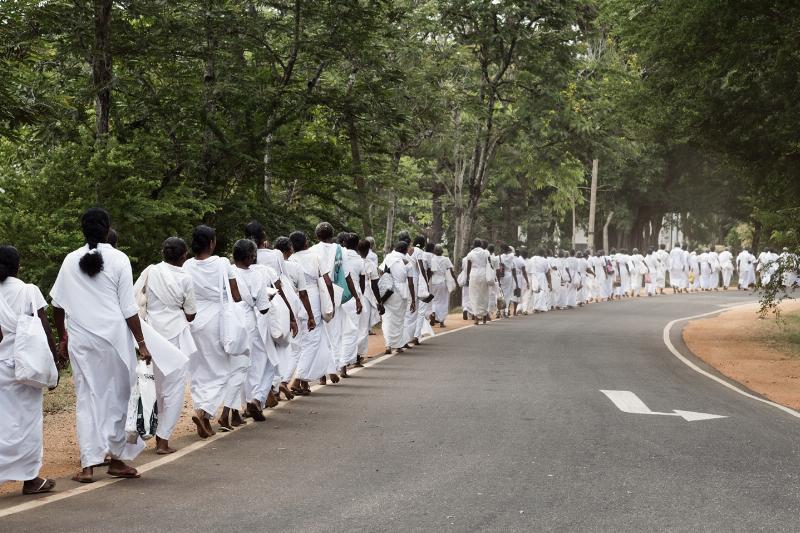 Gåtur i Sri Lanka af Frames