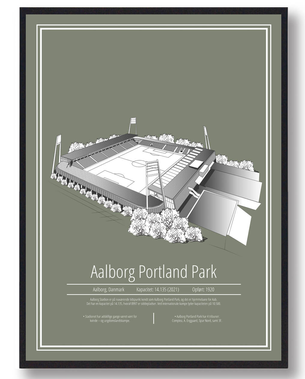 Aalborg Portland Park AaB Stadionplakat til dit hjem