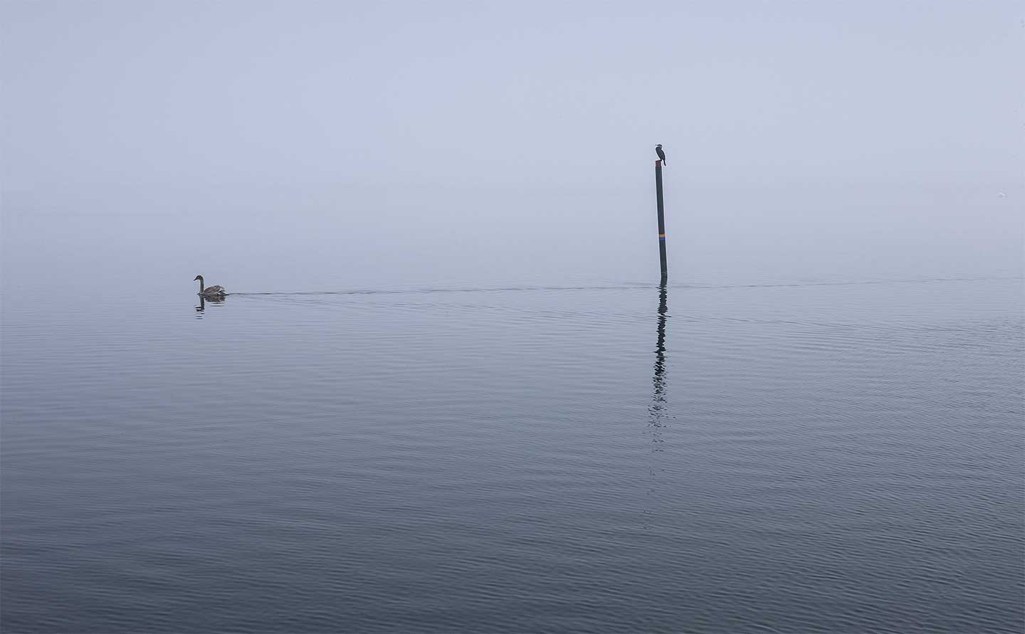 Smuk fotokunst: Glænø af Jørgen Bausager - Unik udsigt