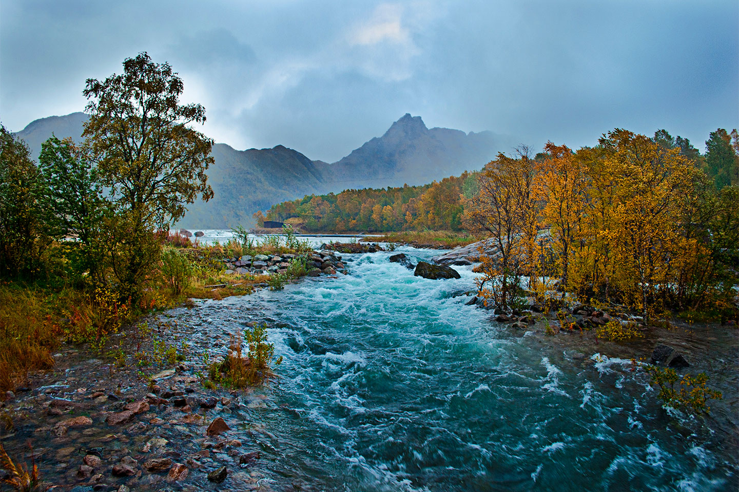 Unikt kunstværk: Autumn River af Frank Olsen - Naturens skønhed
