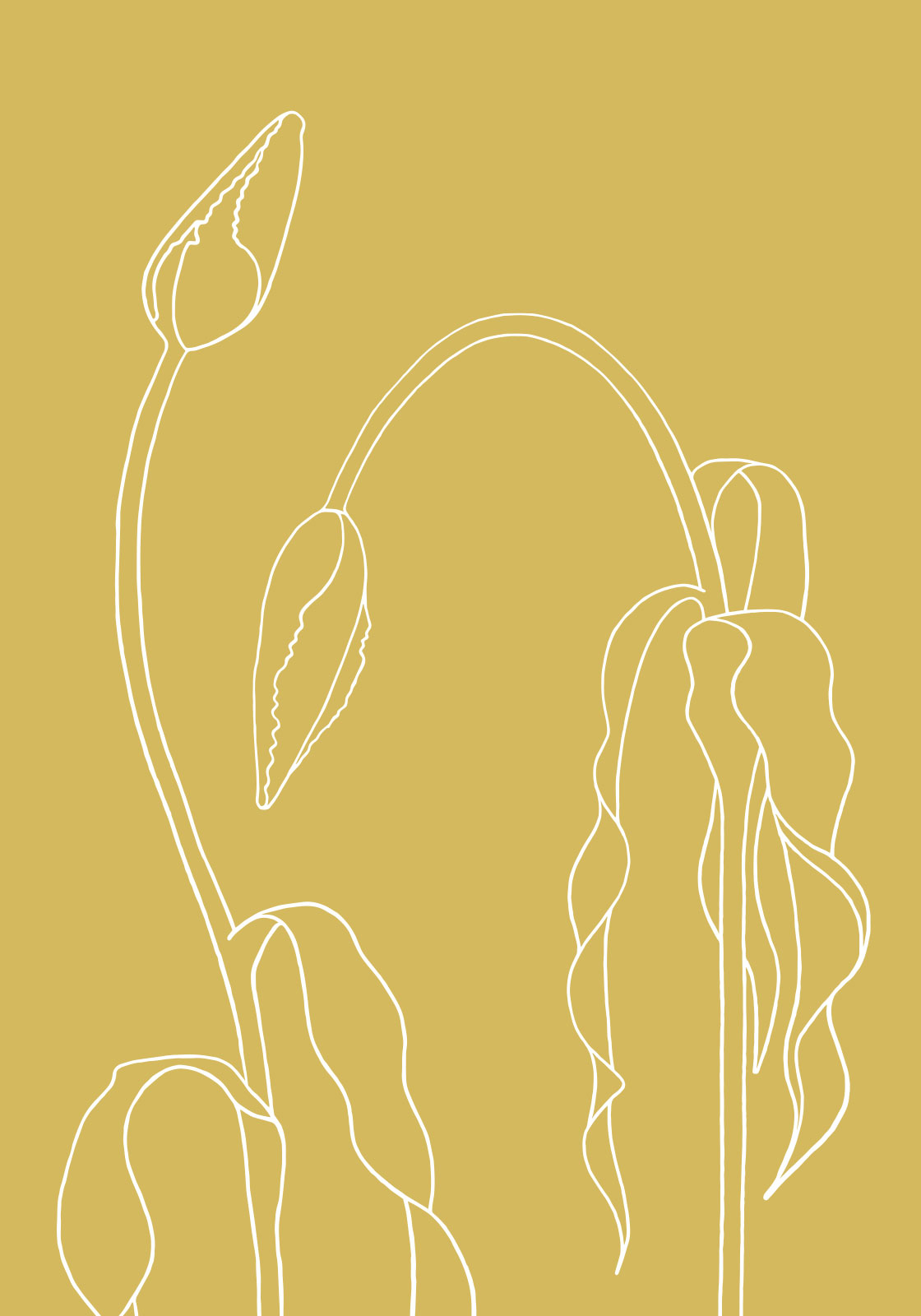 Gul tulipan illustration - Unik kunst til hjemmet