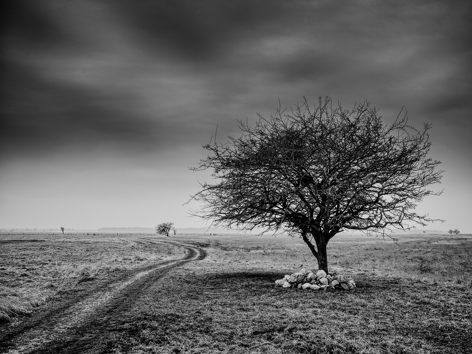 Unik kunst: Side of the Road af Jakob Evers - Køb nu!