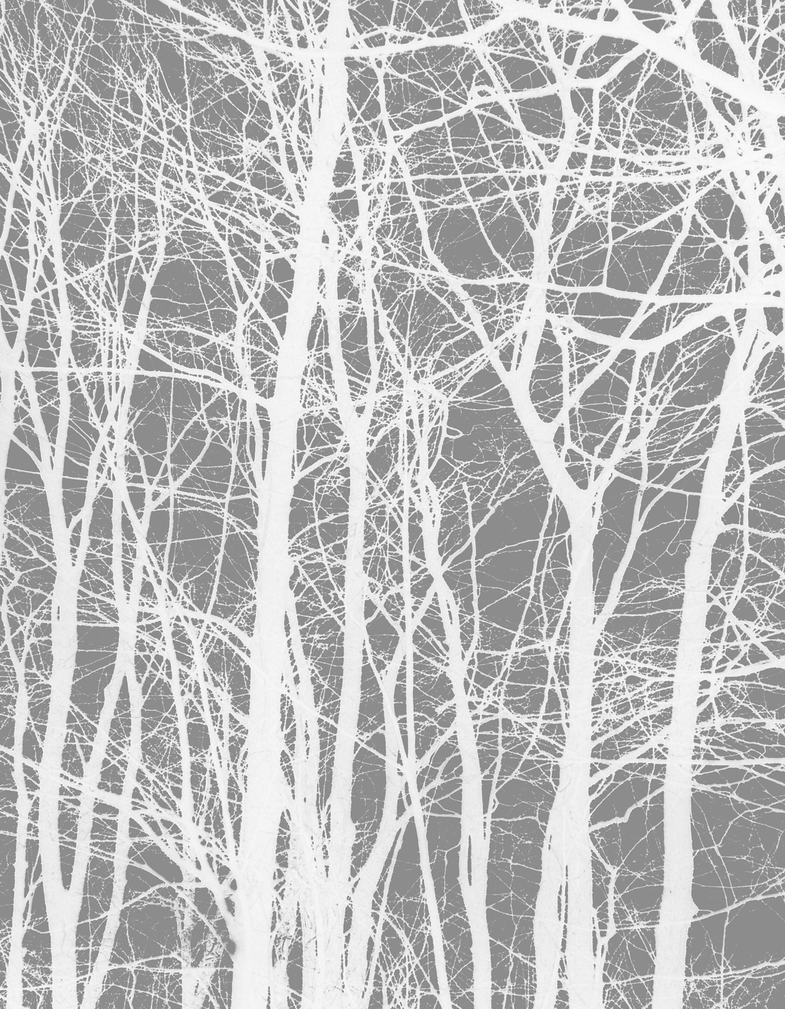 Cherrytree Grey Kunstværk af Kirsten Stigsgaard