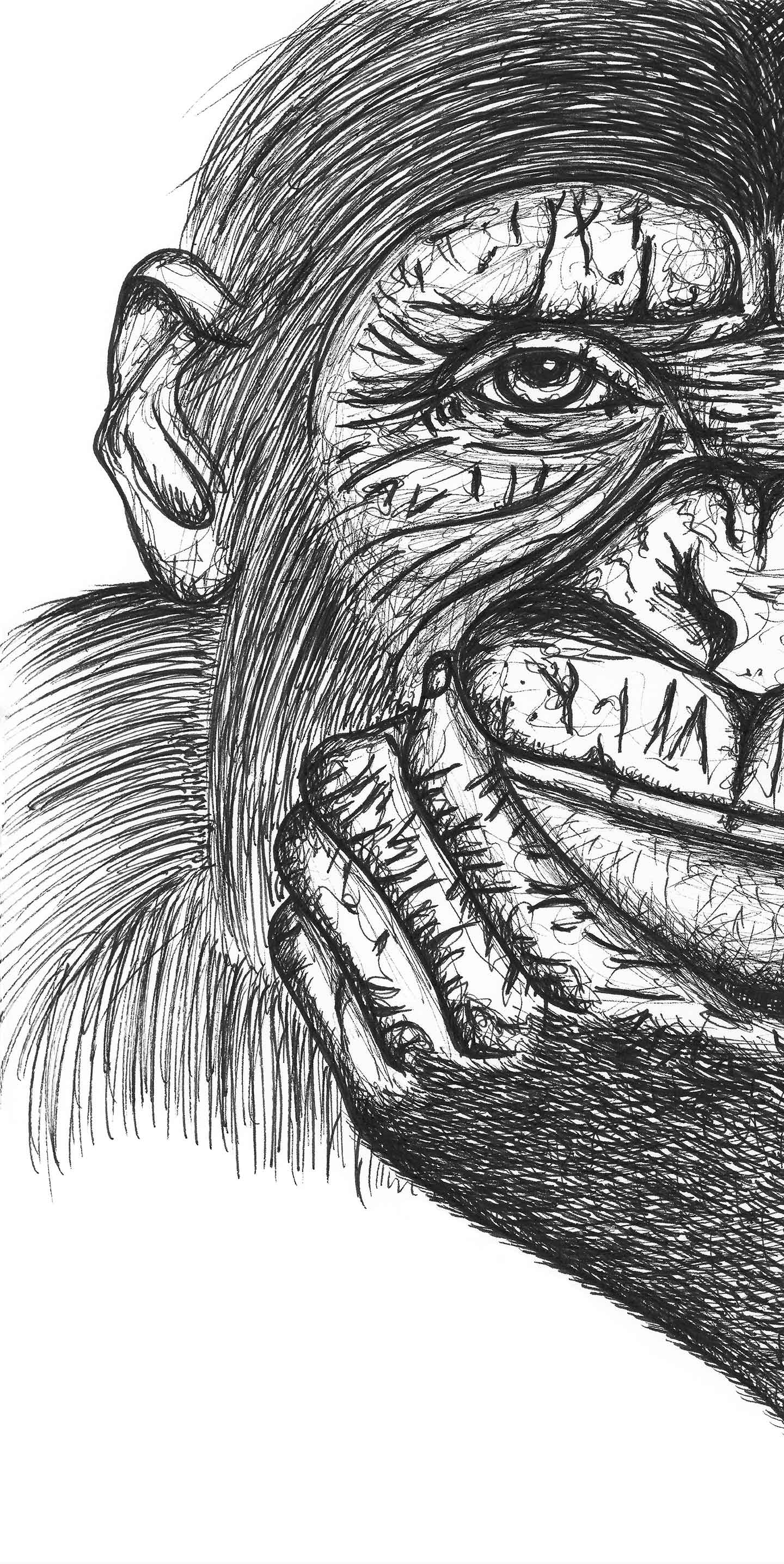 Chimpansen Hector - Unik Kunsttryk til Salg