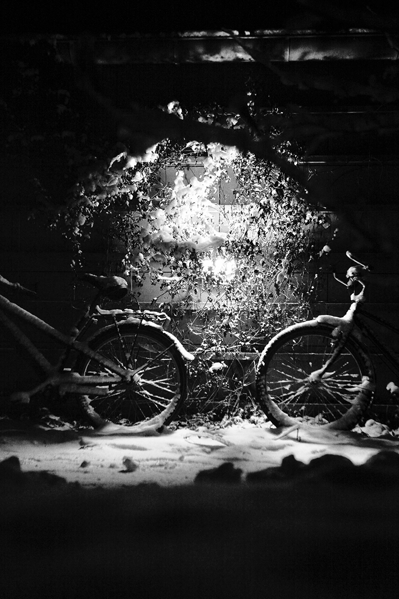Unik cykelkunst af Preben Stentoft til dit hjem