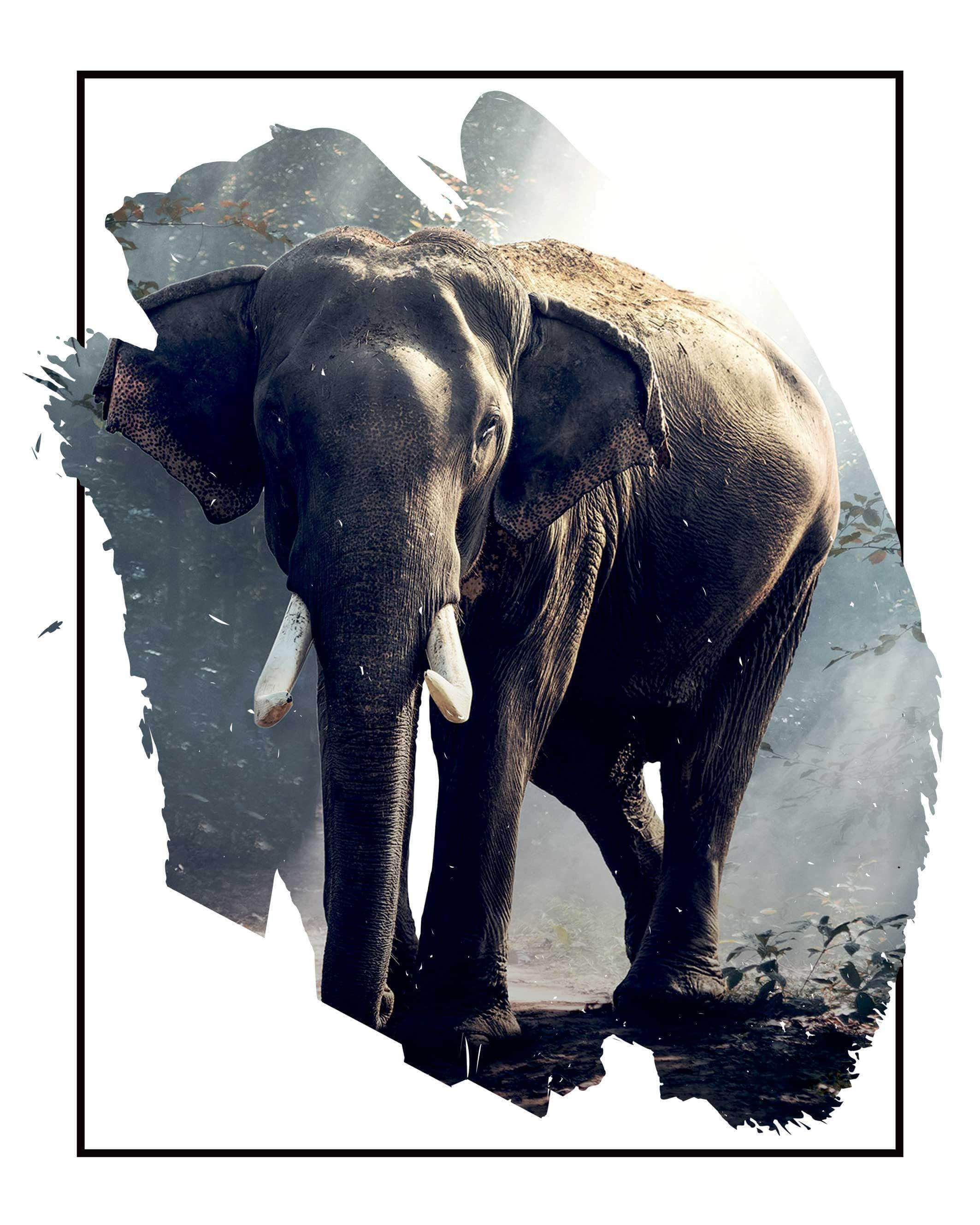 Elefant i Skovlysning – Smuk Dyreplakat til Indretning