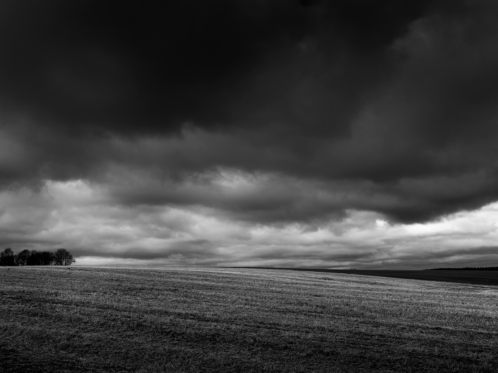 Felter af Jakob Evers - Unik Sort-Hvid Fotokunst