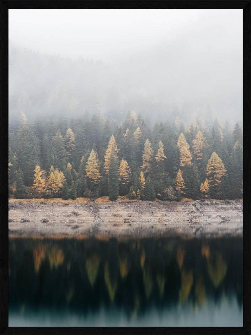 Forårsskov i Tåge Plakat - Unik Naturkunst