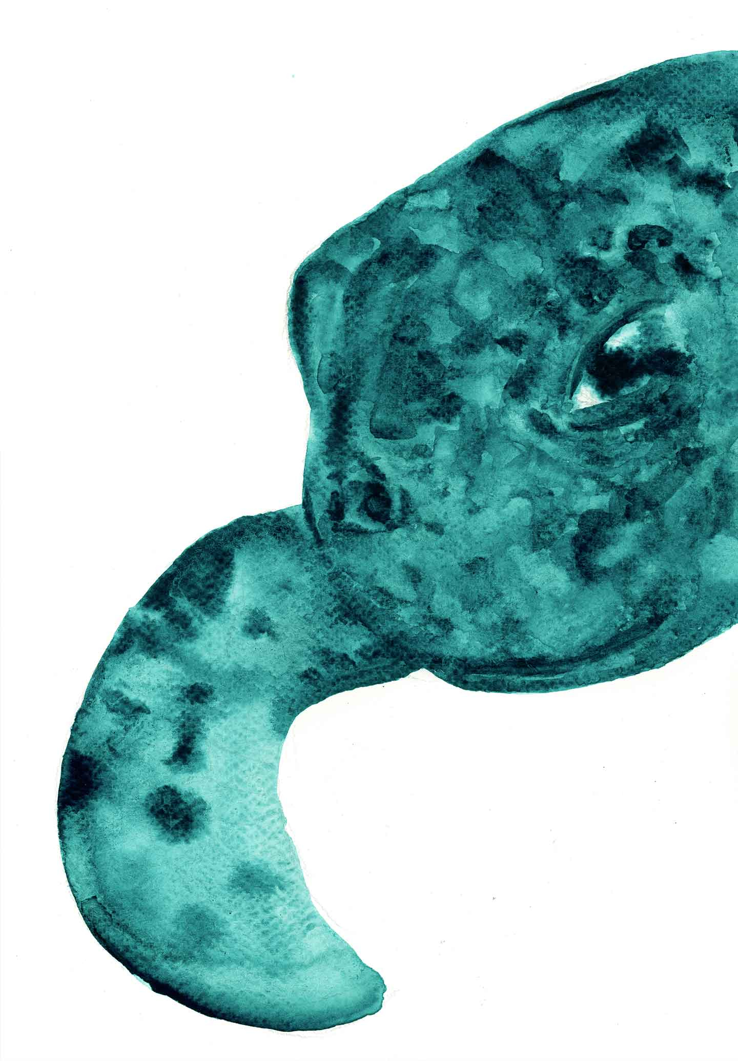 Unik skildpadde akvareltryk af Tina Seirup Nielsen