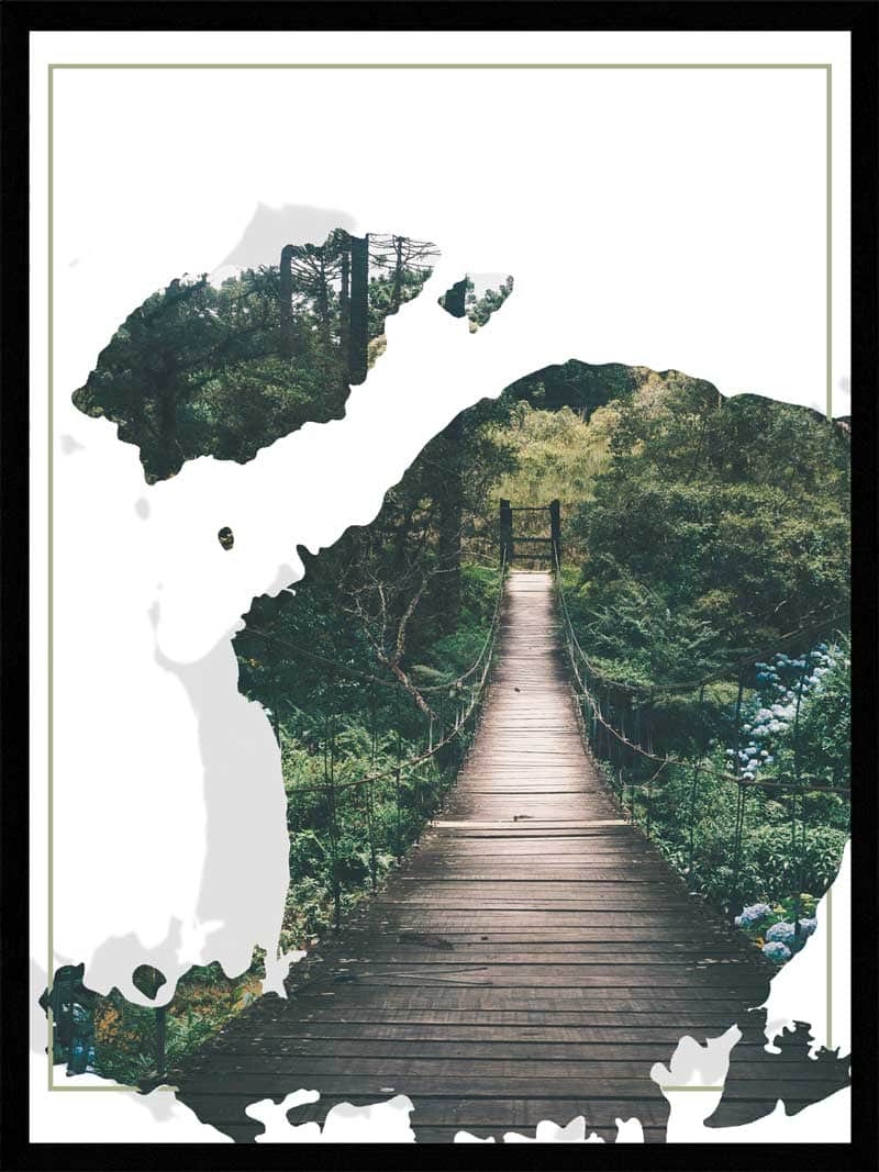 Junglebro Natur Plakat – Fantastisk Kunst til Dit Hjem