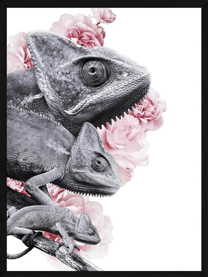 Kamæleon Plakat – Unik Kunst til Dit Hjem