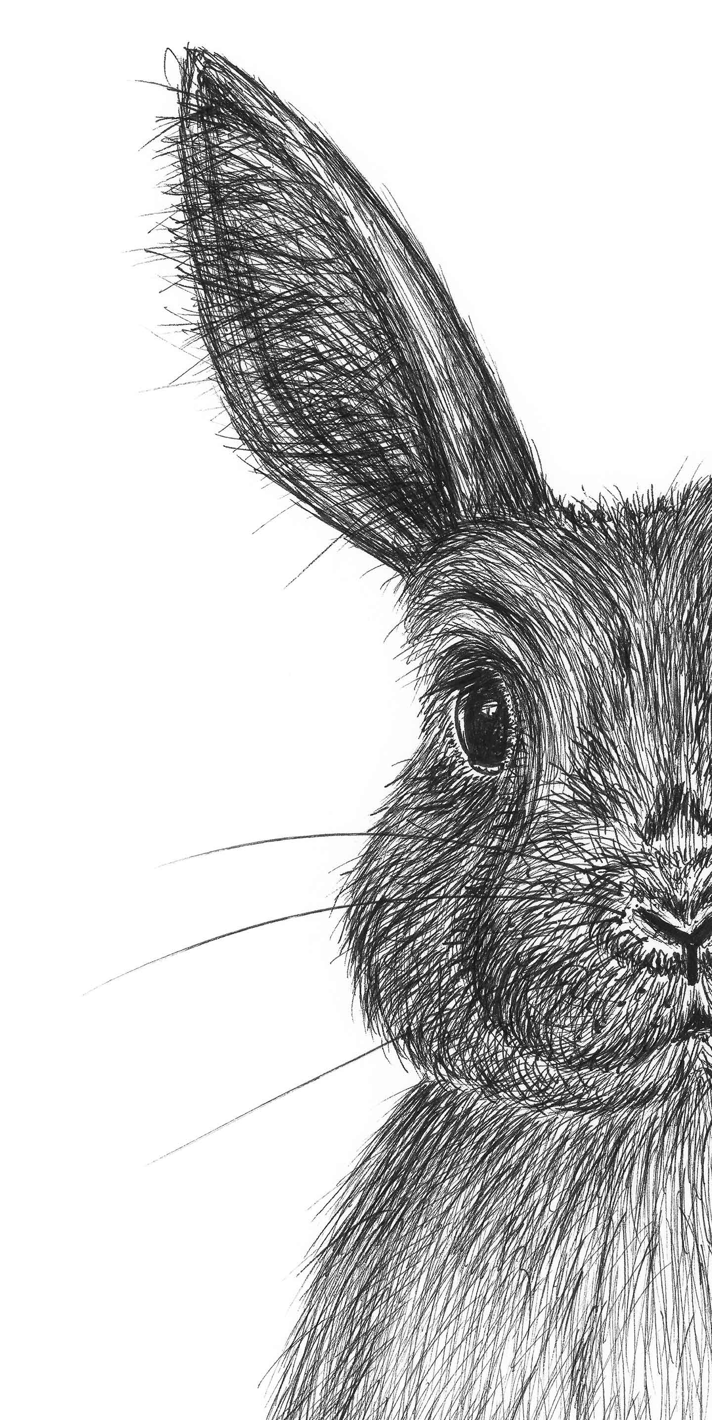 Kaninen Karla af Tina Seirup Nielsen