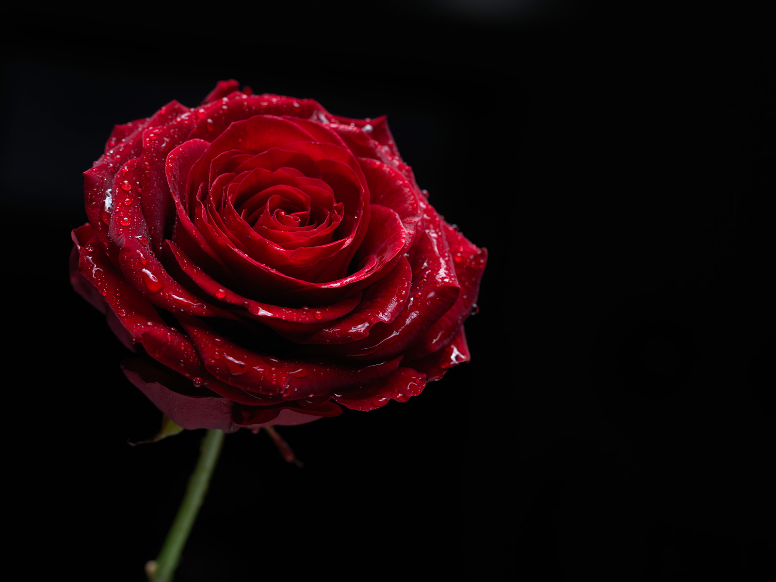 Kunstværk "Love" af Jakob Evers - Unik Fotokunst