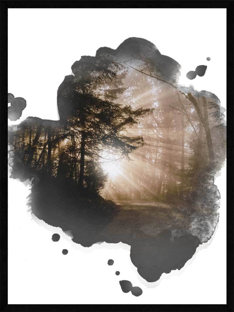 Lysindfald i Skoven – Smuk Natur Plakat fra Postersbyus