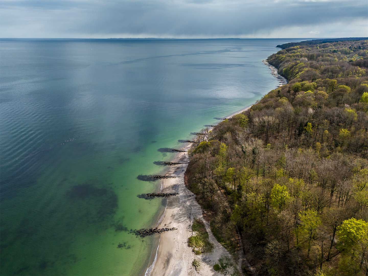 Marselisborg Skov Kunstværk – Unik Indretning til Dit Hjem