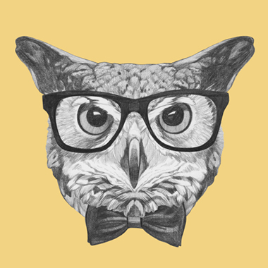 Ordinary Owl Kunstværk fra Illux - Unik Indretning