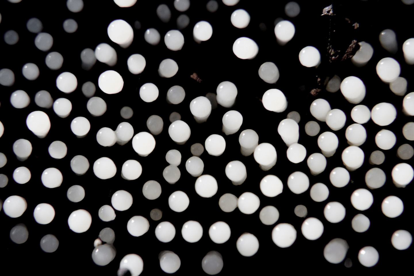 Petite Pattern Kunstværk af Andreas Mørck - Unik Dekoration