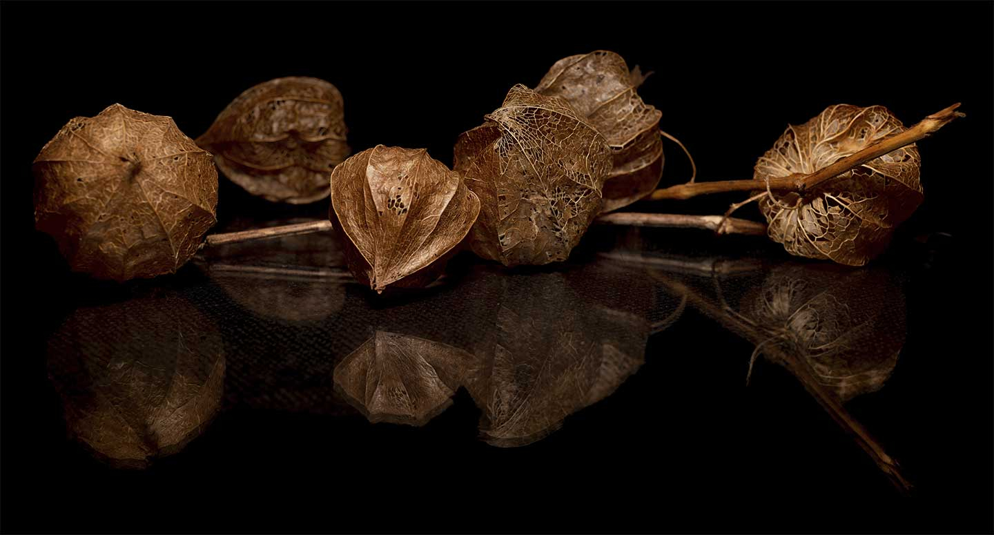 Physalis I af Cato Johan Rød - Unikt kunstværk til hjemmet