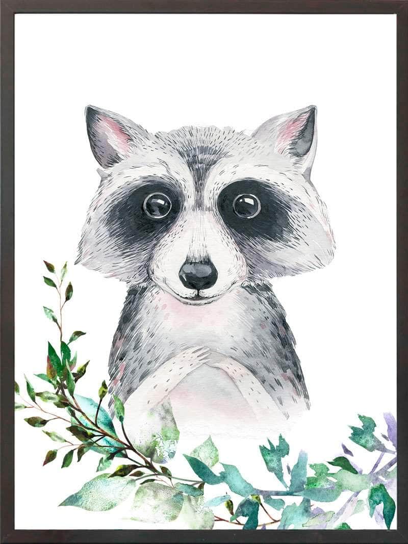 Portræt af vaskebjørn - børneplakat til værelset