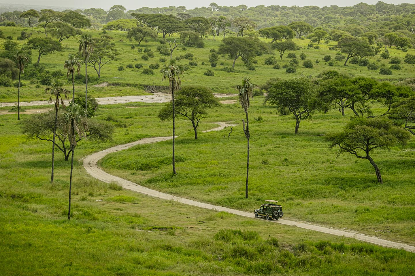 Unikt foto "Driving into the Wild" af Rasmus Gundorff Sæderup