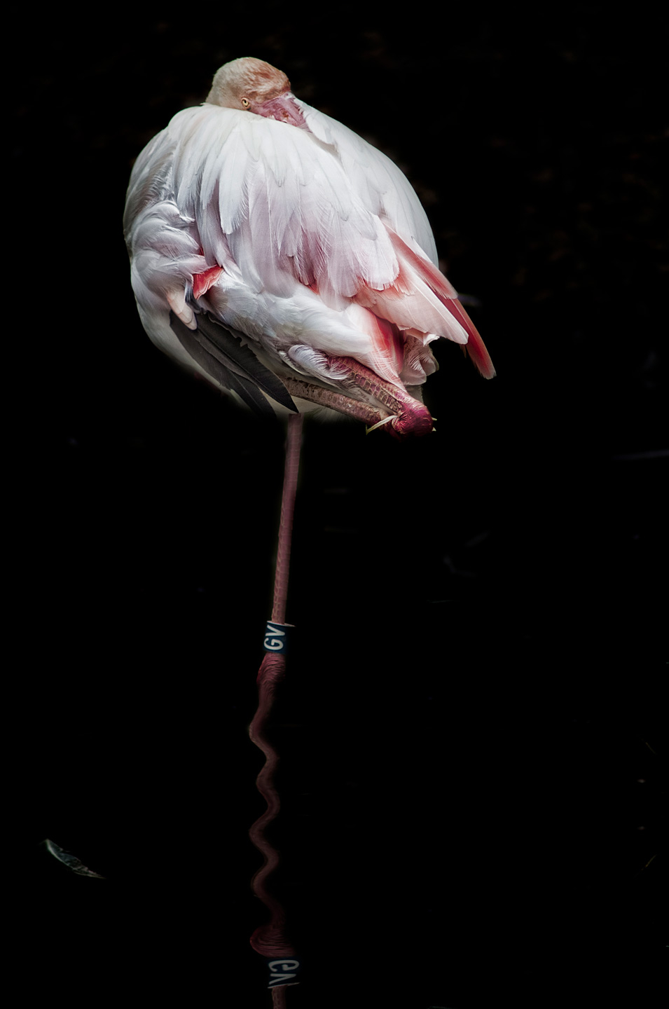Unikt kunstværk "Resting" af Gustavo Orensztajn