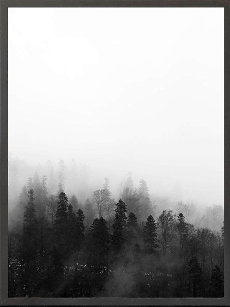 Sort Skov Plakat - Betagende Naturmotiv i Sort/Hvid