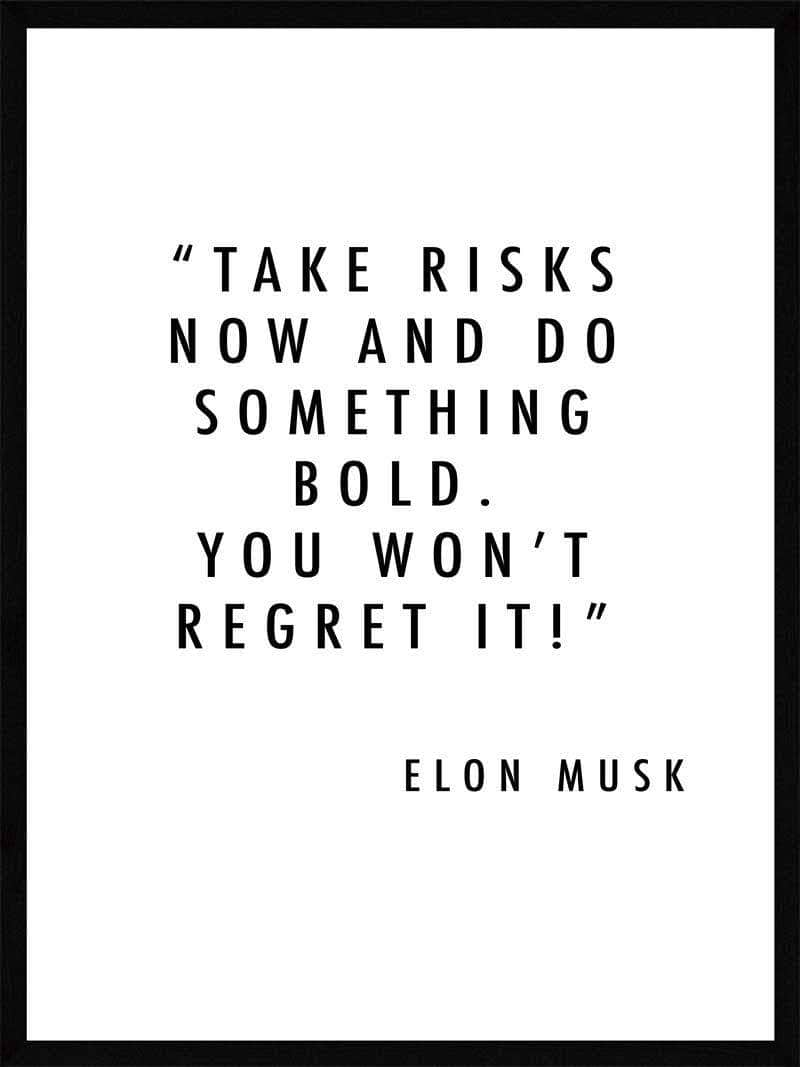 Tag chancer nu – Inspirerende Elon Musk Plakat