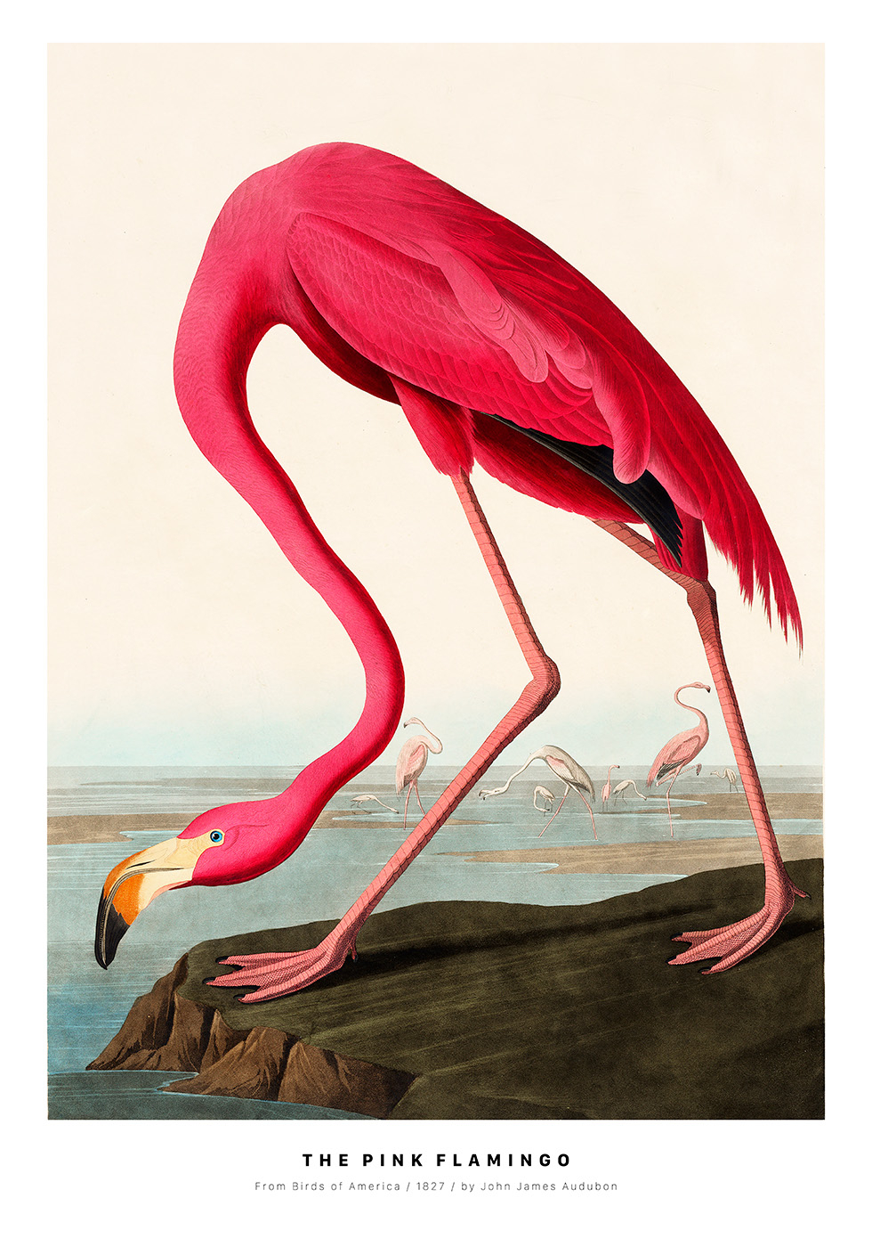 Den Pink Flamingo - Unik Kunstplakat fra Plakatwerket
