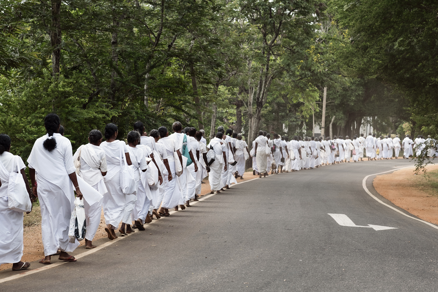 Unikt kunstværk: The Walk Sri Lanka til dit hjem