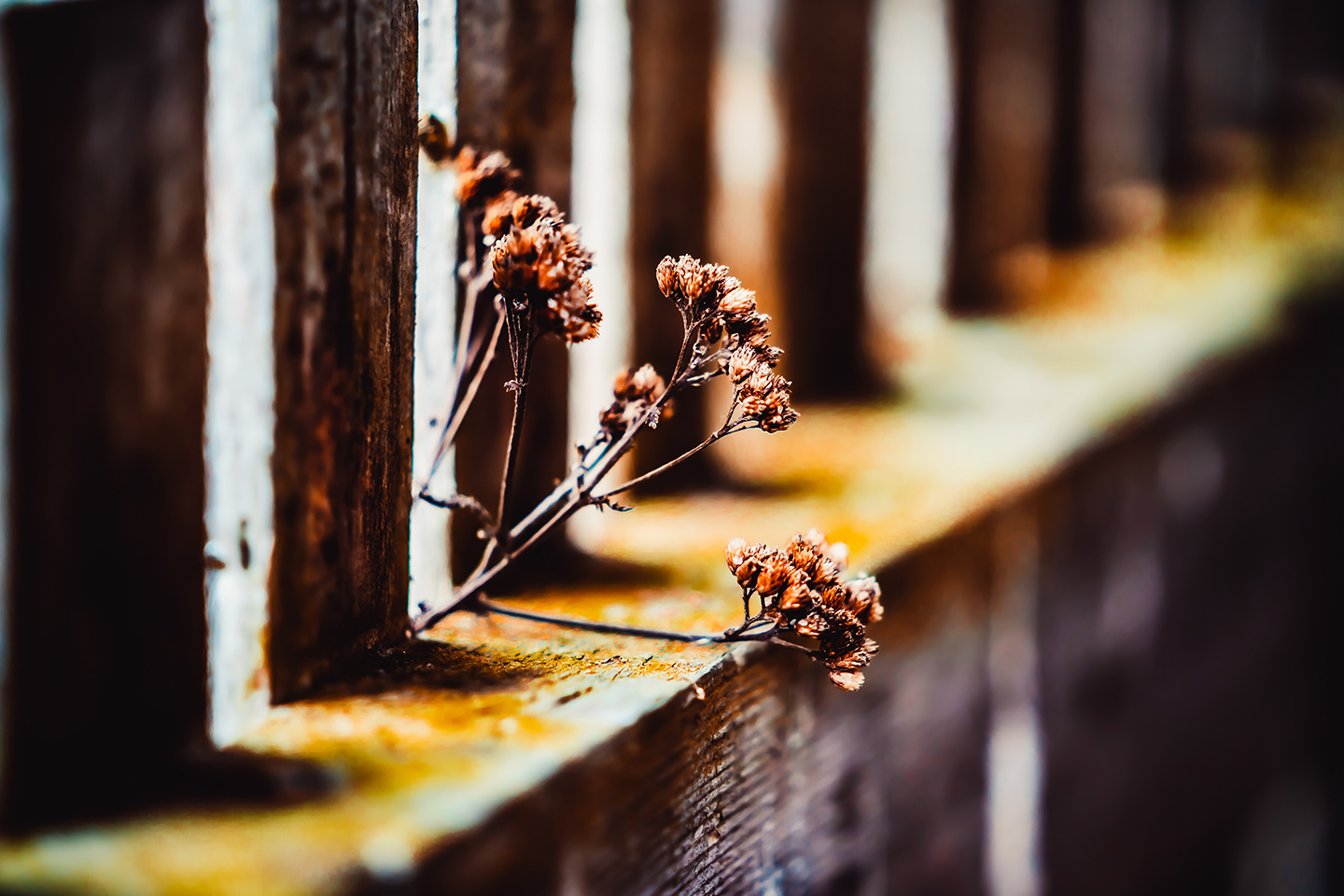 Unikt kunstværk: Ukrudt med patina fra Smukstil By Mea