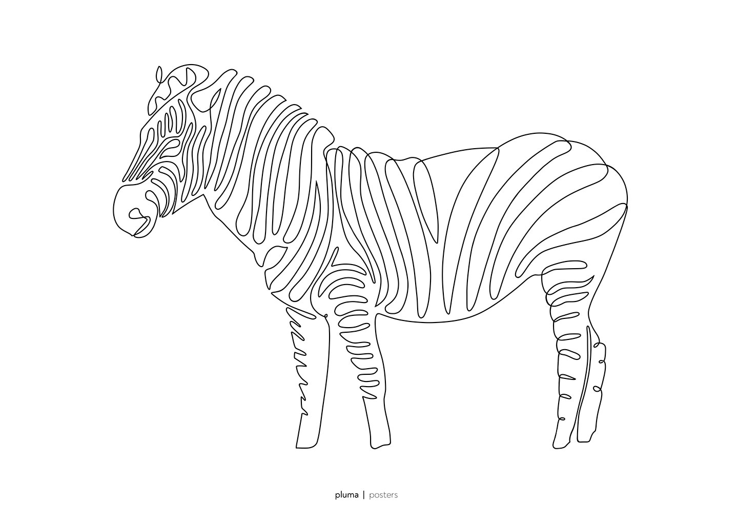 Zebra Plakat fra Pluma - Unik Kunst til Hjemmet