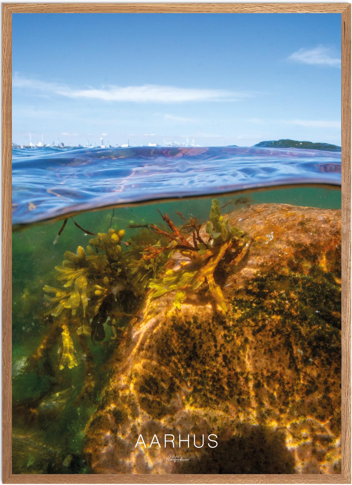 Plakat af Aarhus | Naturplakat med havets skønhed