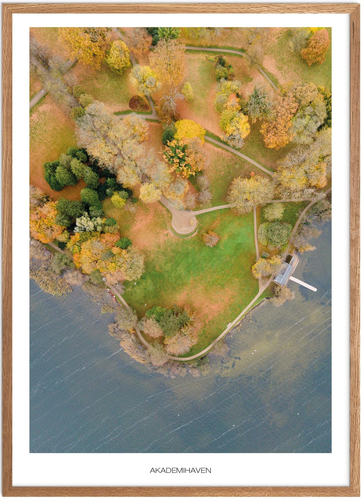 Akademihaven Plakat | Smuk Naturplakat til Dit Hjem